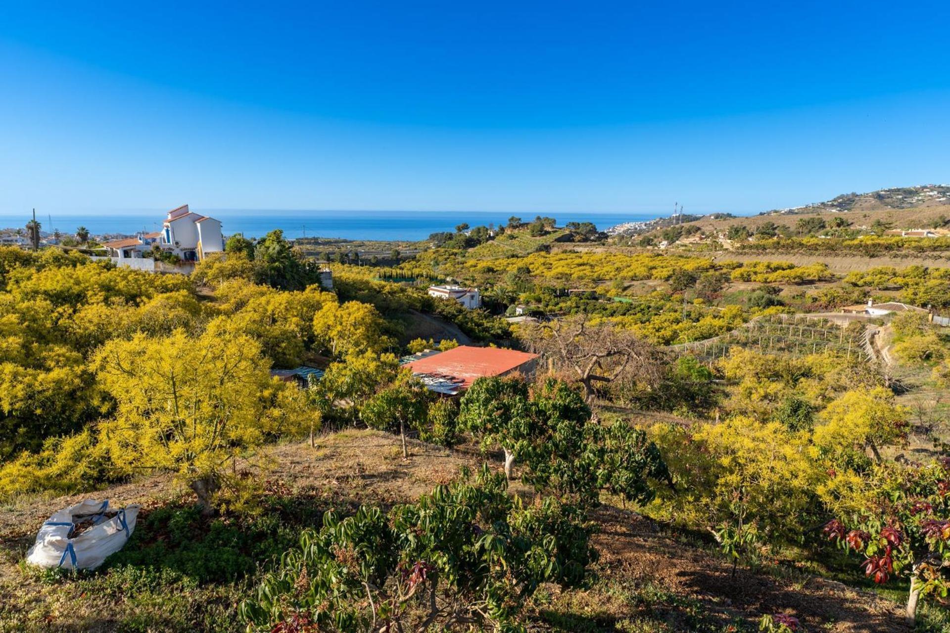 Casa Herrero Нерха Экстерьер фото